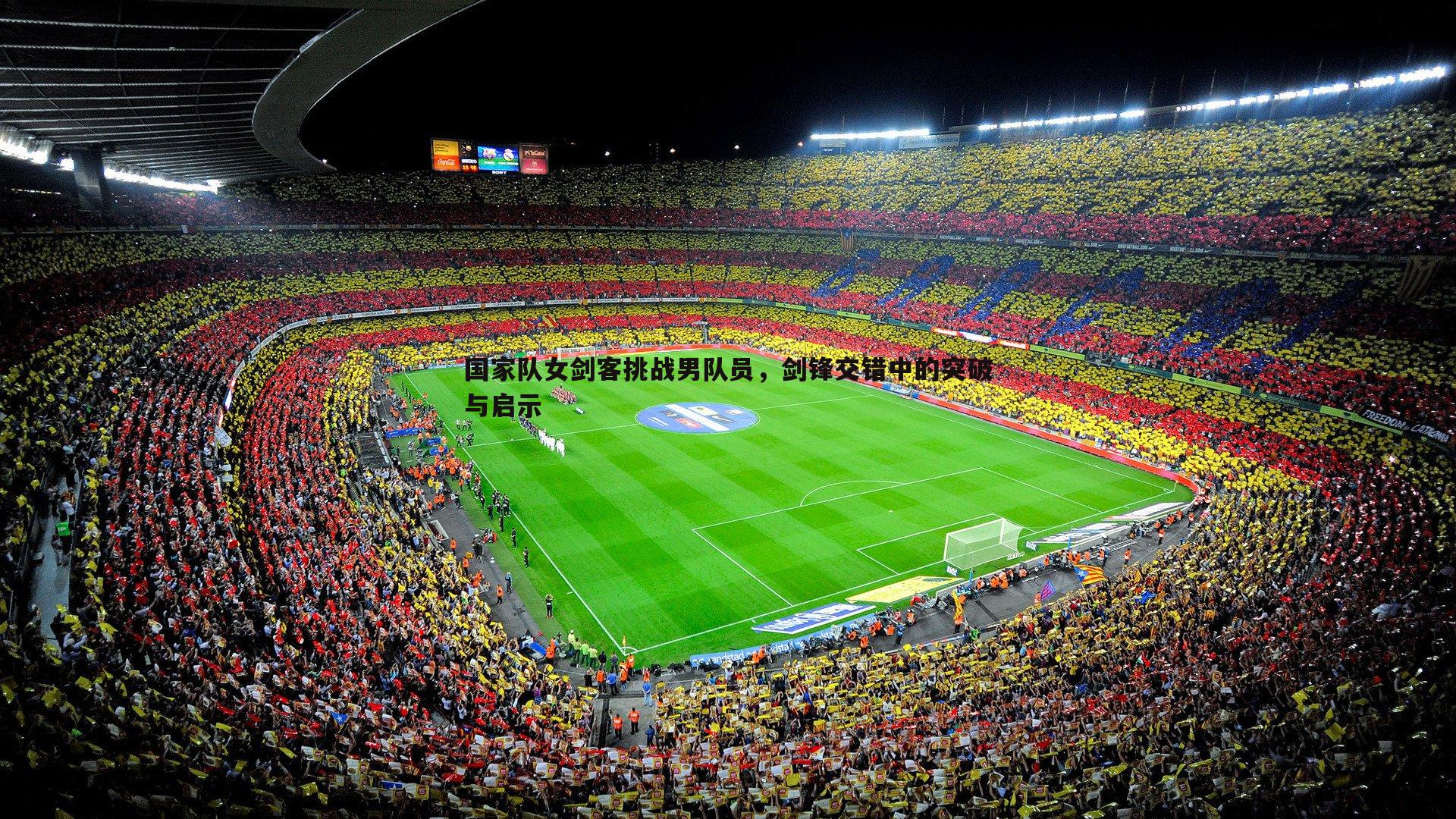 国家队女剑客挑战男队员,剑锋交错中的突破与启示